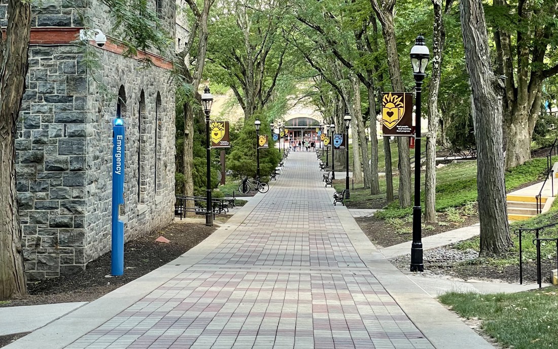 Tree-lined walkway through Lehigh University campus