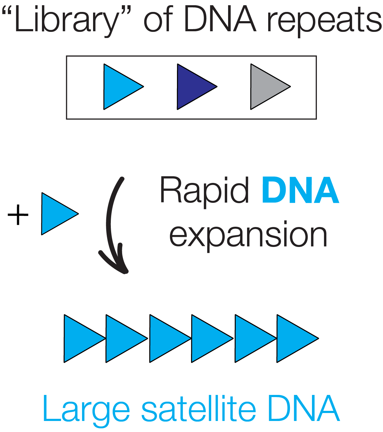 Direction 1 schematic placeholder